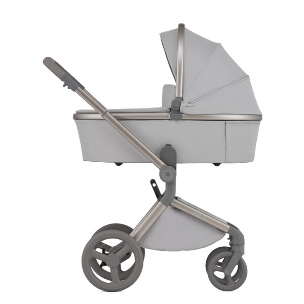 Stroller Anex Flo 2-in-1 (Frossy)